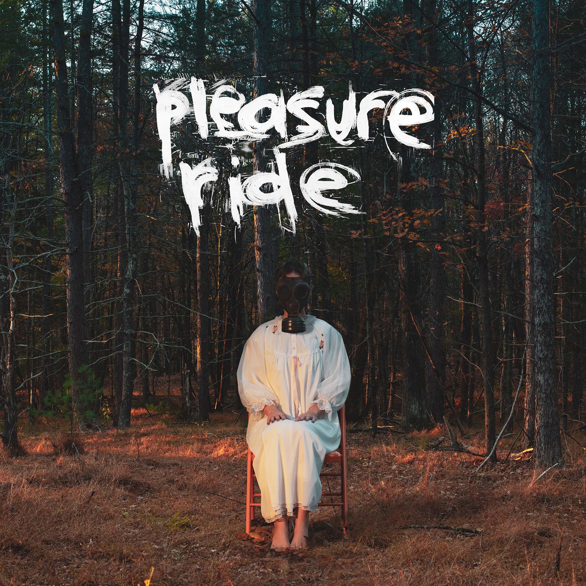 Pleasure Ride album cover